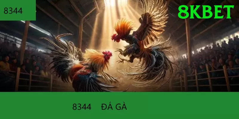 Đá Gà Trực Tiếp - 8kbet - Game 2D